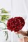 10 Pcs Burgundy Artificial Hydrangea Flower Heads with Stems, Silk Fabric Faux Flowers for Wedding Centerpieces, DIY Bouquets, Floral Arrangements, Home and Party Decorations